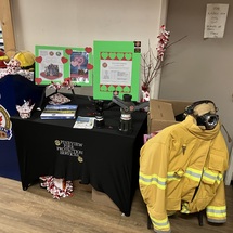 Pineview Fire Protection Update